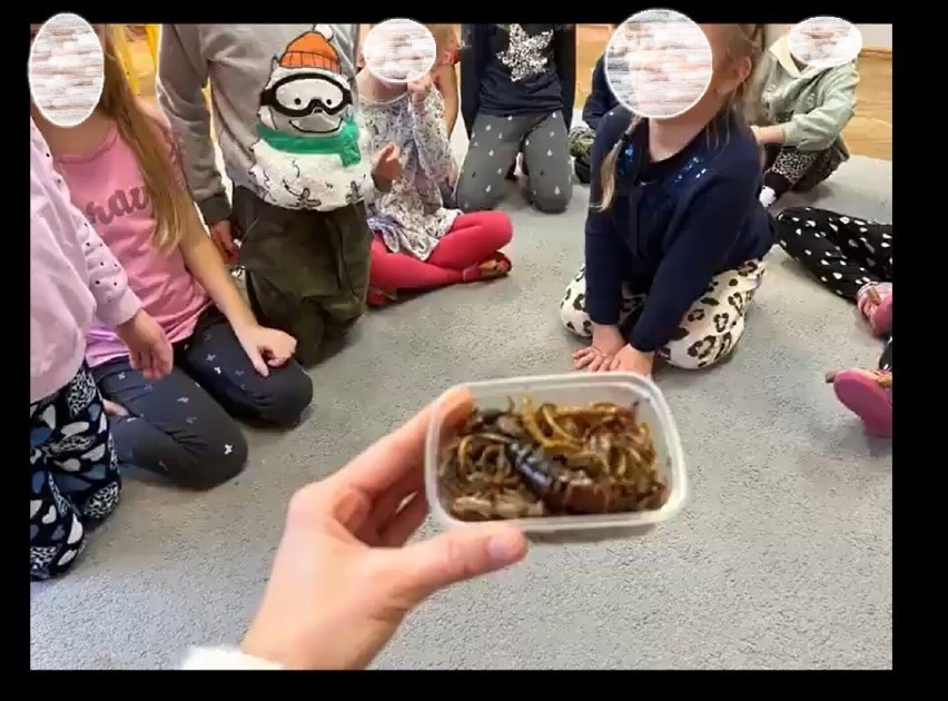 Afera w prywatnym przedszkolu we Wrześni. Dzieciom podawano do zjedzenia żywe owady