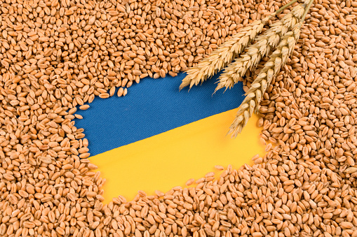 PiS kolejny raz sprzedał rolników. PE przedłużył bezcłowy import artykułów rolnych z Ukrainy